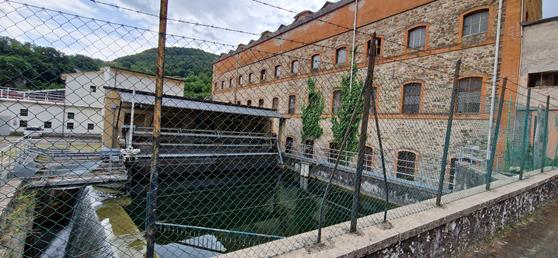 2025-07-25 Pioppe di Salvaro Capelli miejsce smierci (8).jpg